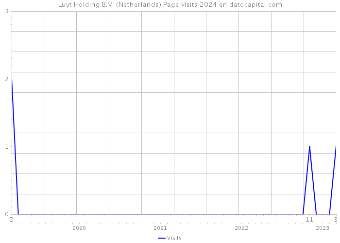 Luyt Holding B.V. (Netherlands) Page visits 2024 