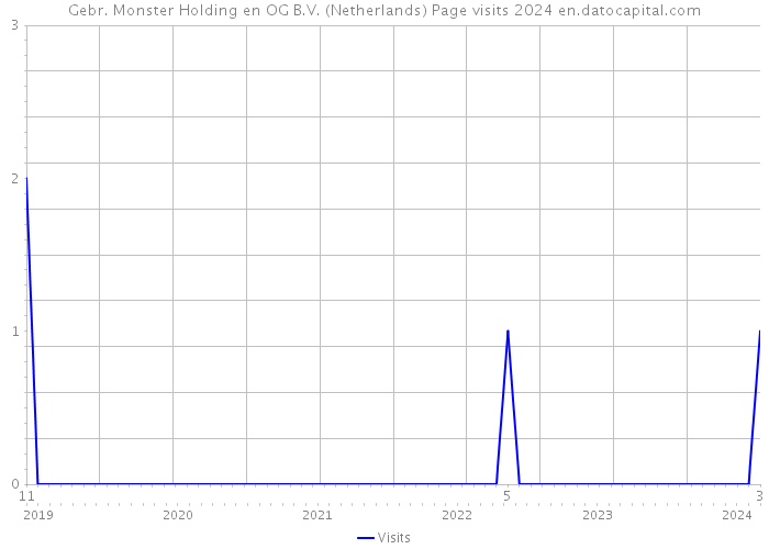 Gebr. Monster Holding en OG B.V. (Netherlands) Page visits 2024 