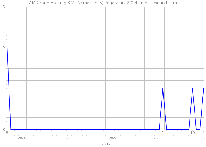 AM Group Holding B.V. (Netherlands) Page visits 2024 
