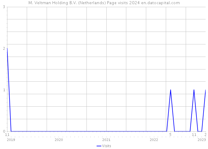 M. Veltman Holding B.V. (Netherlands) Page visits 2024 
