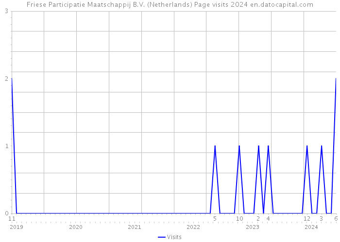 Friese Participatie Maatschappij B.V. (Netherlands) Page visits 2024 