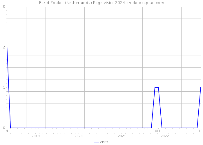Farid Zoulali (Netherlands) Page visits 2024 