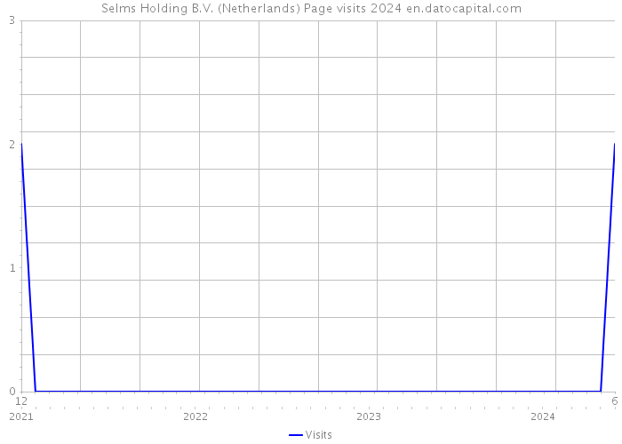 Selms Holding B.V. (Netherlands) Page visits 2024 