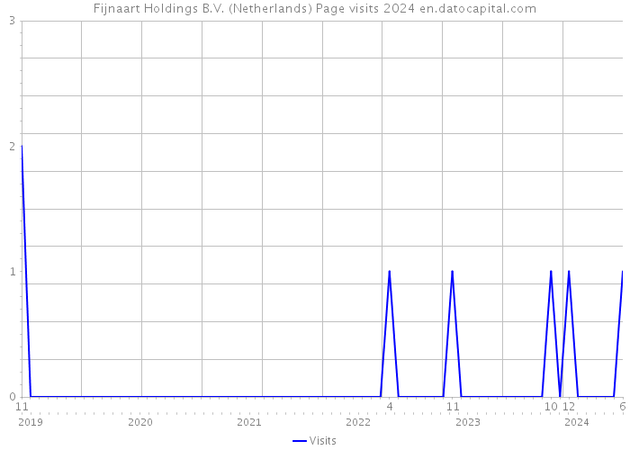 Fijnaart Holdings B.V. (Netherlands) Page visits 2024 