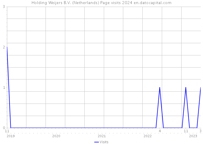 Holding Weijers B.V. (Netherlands) Page visits 2024 