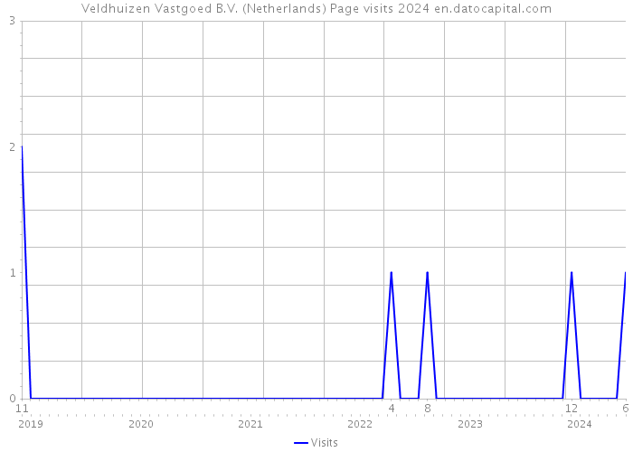 Veldhuizen Vastgoed B.V. (Netherlands) Page visits 2024 