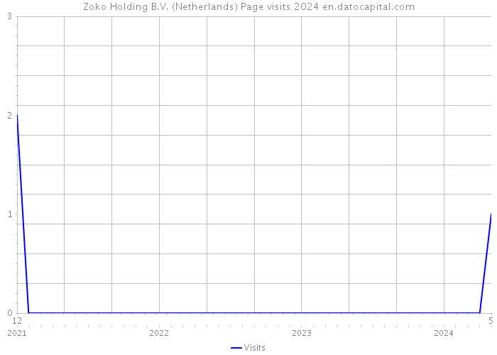 Zoko Holding B.V. (Netherlands) Page visits 2024 
