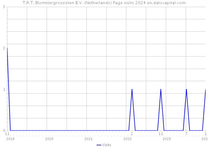 T.R.T. Blomstergrossisten B.V. (Netherlands) Page visits 2024 