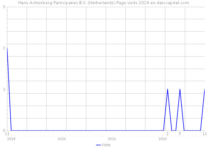 Hans Achterberg Participaties B.V. (Netherlands) Page visits 2024 