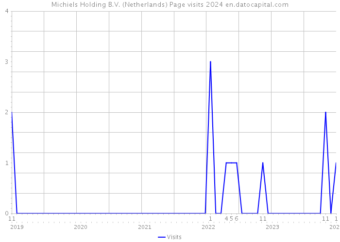 Michiels Holding B.V. (Netherlands) Page visits 2024 