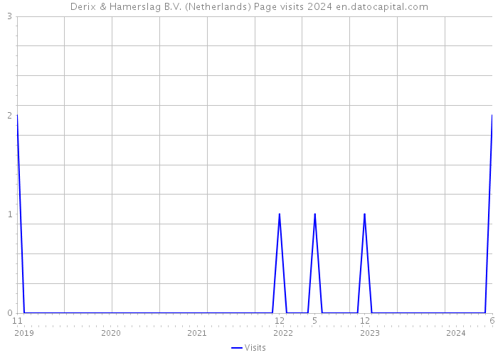 Derix & Hamerslag B.V. (Netherlands) Page visits 2024 