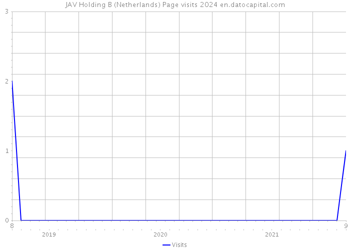 JAV Holding B (Netherlands) Page visits 2024 