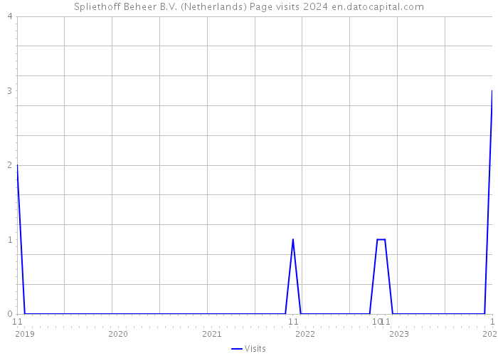 Spliethoff Beheer B.V. (Netherlands) Page visits 2024 