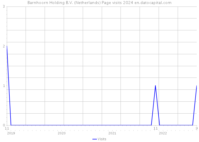 Barnhoorn Holding B.V. (Netherlands) Page visits 2024 