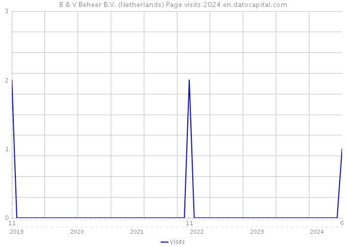 B & V Beheer B.V. (Netherlands) Page visits 2024 