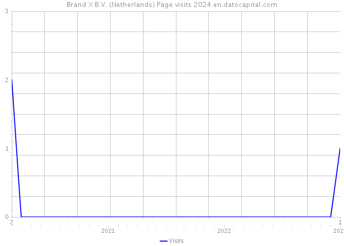 Brand X B.V. (Netherlands) Page visits 2024 