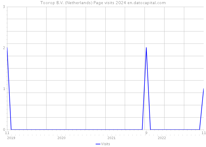 Toorop B.V. (Netherlands) Page visits 2024 
