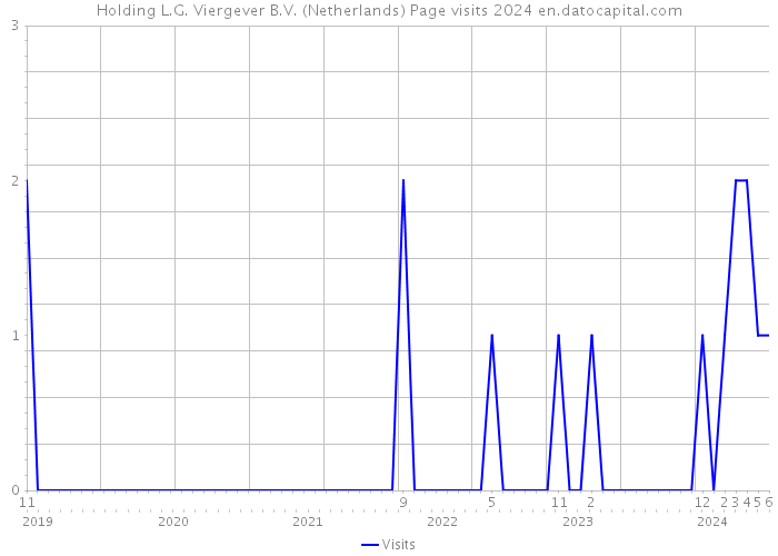 Holding L.G. Viergever B.V. (Netherlands) Page visits 2024 