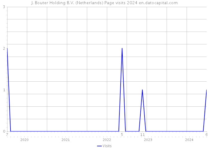 J. Bouter Holding B.V. (Netherlands) Page visits 2024 