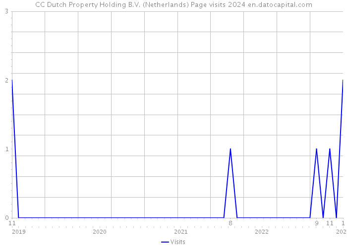 CC Dutch Property Holding B.V. (Netherlands) Page visits 2024 
