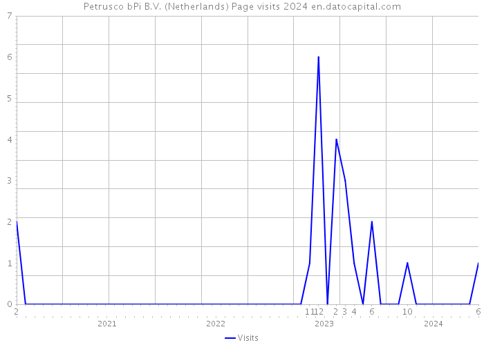Petrusco bPi B.V. (Netherlands) Page visits 2024 