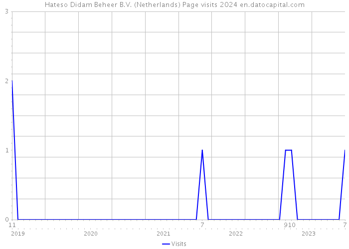 Hateso Didam Beheer B.V. (Netherlands) Page visits 2024 