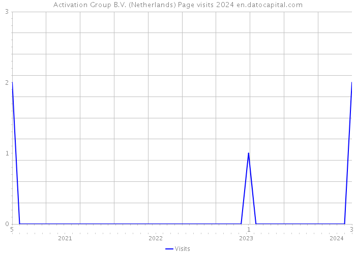 Activation Group B.V. (Netherlands) Page visits 2024 