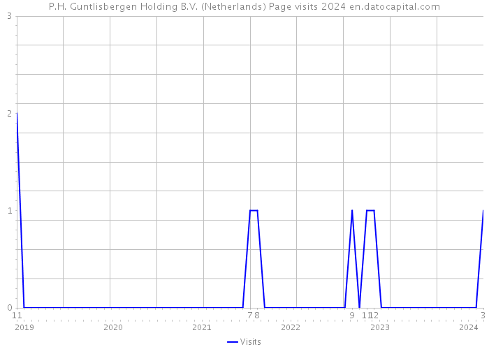 P.H. Guntlisbergen Holding B.V. (Netherlands) Page visits 2024 