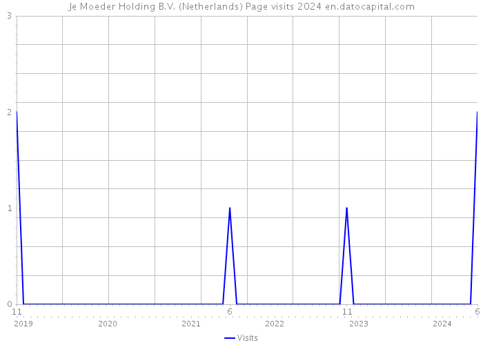 Je Moeder Holding B.V. (Netherlands) Page visits 2024 