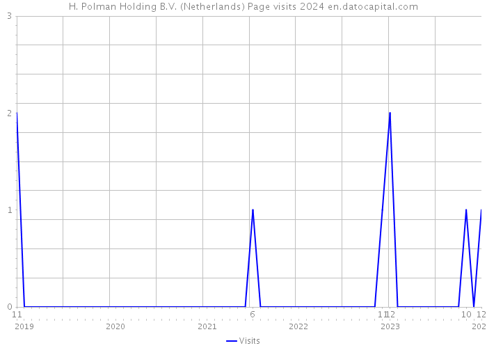 H. Polman Holding B.V. (Netherlands) Page visits 2024 