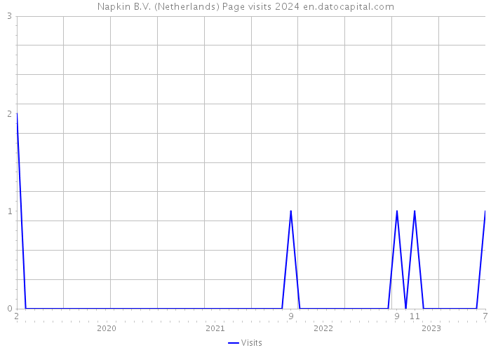 Napkin B.V. (Netherlands) Page visits 2024 