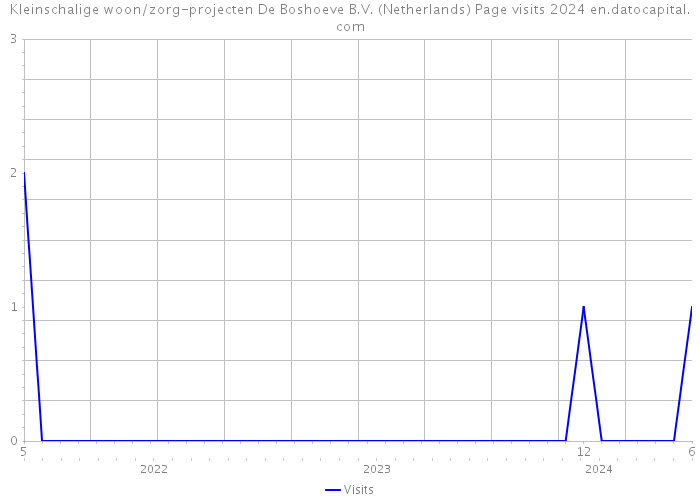 Kleinschalige woon/zorg-projecten De Boshoeve B.V. (Netherlands) Page visits 2024 