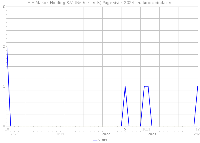 A.A.M. Kok Holding B.V. (Netherlands) Page visits 2024 