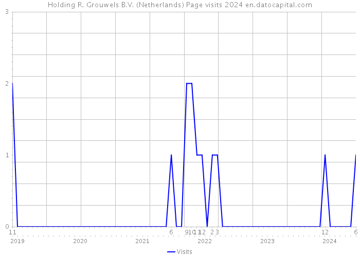 Holding R. Grouwels B.V. (Netherlands) Page visits 2024 