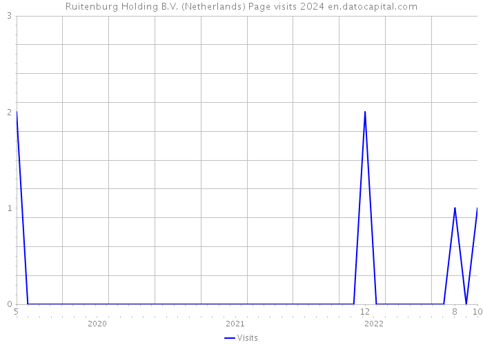 Ruitenburg Holding B.V. (Netherlands) Page visits 2024 