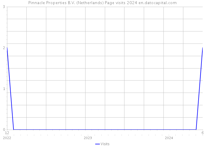 Pinnacle Properties B.V. (Netherlands) Page visits 2024 