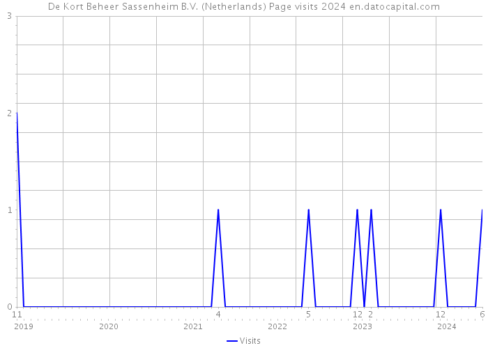 De Kort Beheer Sassenheim B.V. (Netherlands) Page visits 2024 
