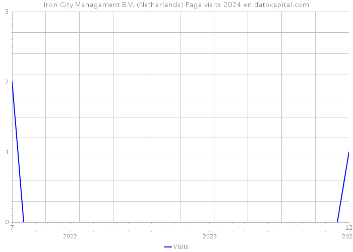 Iron City Management B.V. (Netherlands) Page visits 2024 