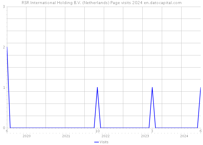 RSR International Holding B.V. (Netherlands) Page visits 2024 