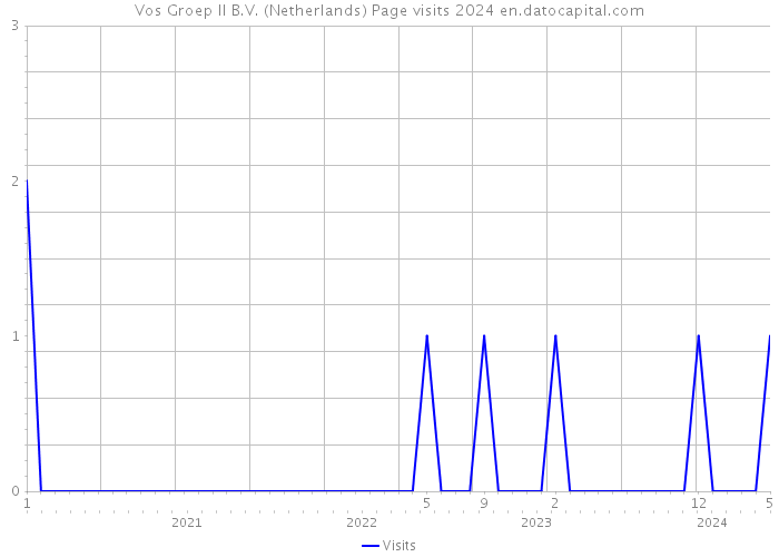 Vos Groep II B.V. (Netherlands) Page visits 2024 