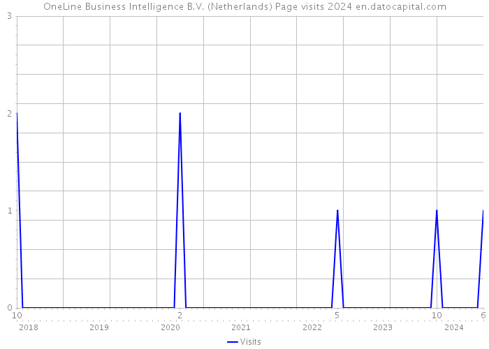 OneLine Business Intelligence B.V. (Netherlands) Page visits 2024 