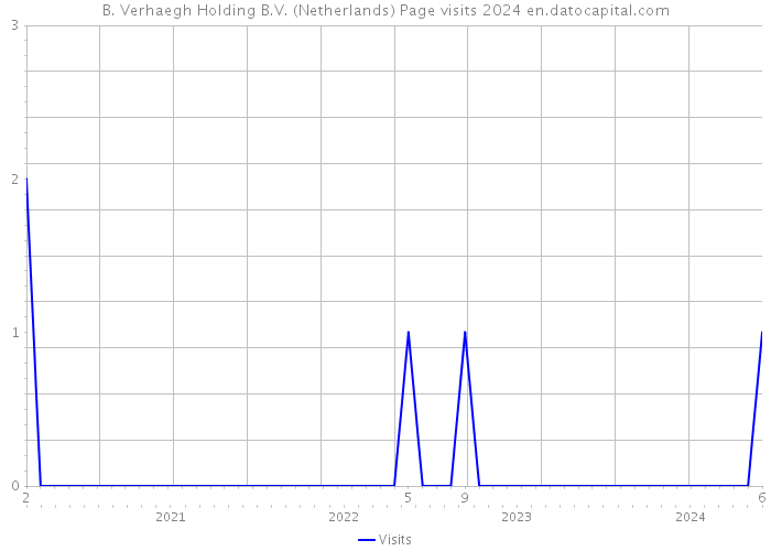 B. Verhaegh Holding B.V. (Netherlands) Page visits 2024 