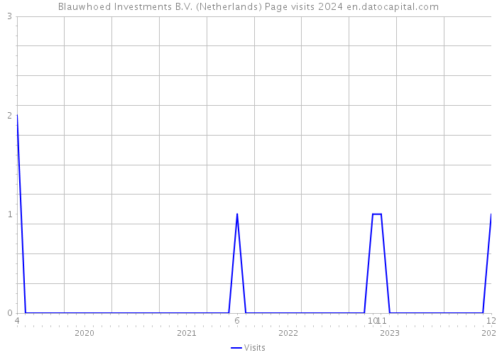 Blauwhoed Investments B.V. (Netherlands) Page visits 2024 