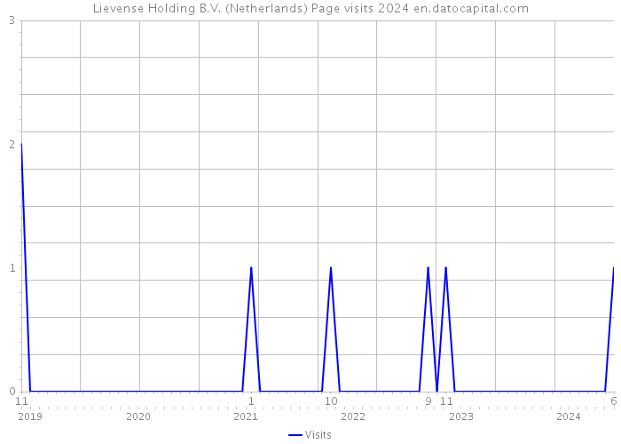 Lievense Holding B.V. (Netherlands) Page visits 2024 