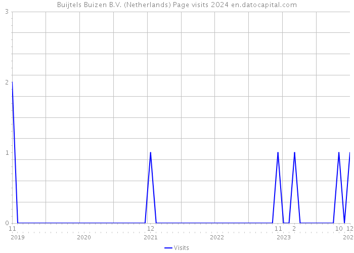 Buijtels Buizen B.V. (Netherlands) Page visits 2024 