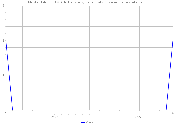 Muste Holding B.V. (Netherlands) Page visits 2024 