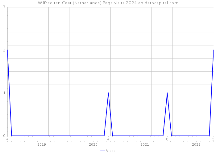 Wilfred ten Caat (Netherlands) Page visits 2024 