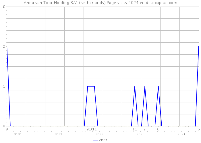 Anna van Toor Holding B.V. (Netherlands) Page visits 2024 