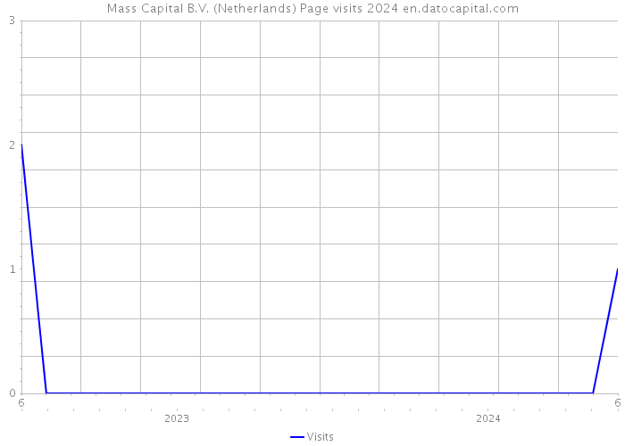 Mass Capital B.V. (Netherlands) Page visits 2024 