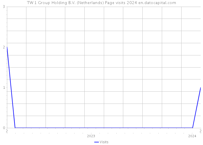 TW 1 Group Holding B.V. (Netherlands) Page visits 2024 